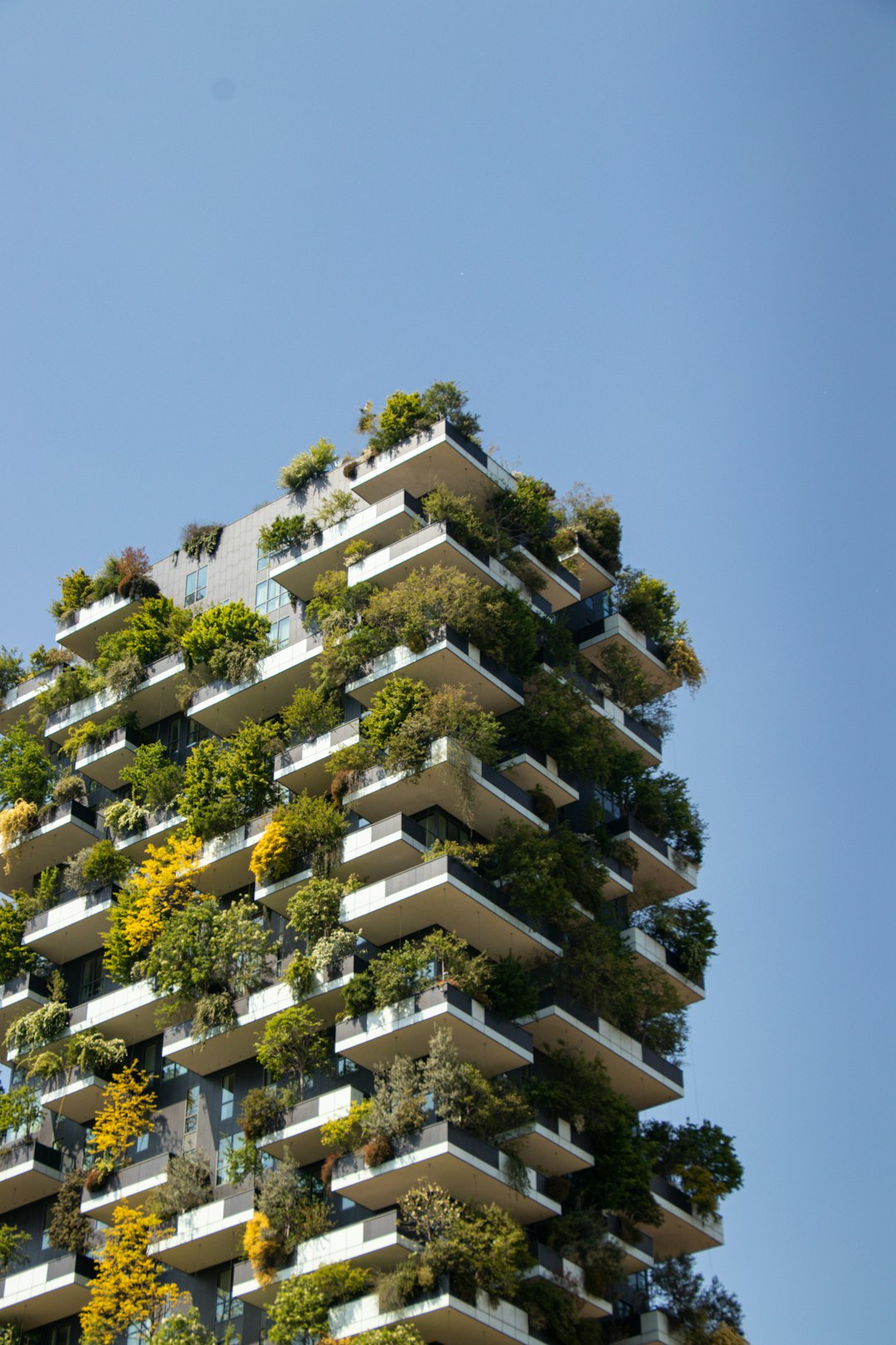 Sustainable Development